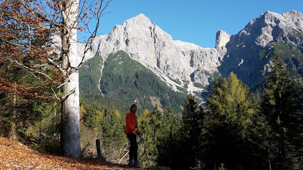 Haus Breithornblick Διαμέρισμα Maria Alm am Steinernen Meer Εξωτερικό φωτογραφία