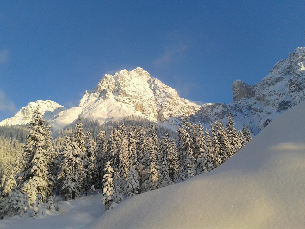 Haus Breithornblick Διαμέρισμα Maria Alm am Steinernen Meer Εξωτερικό φωτογραφία